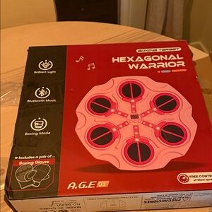 Hexagonal Warrior Boxing Target - Pink